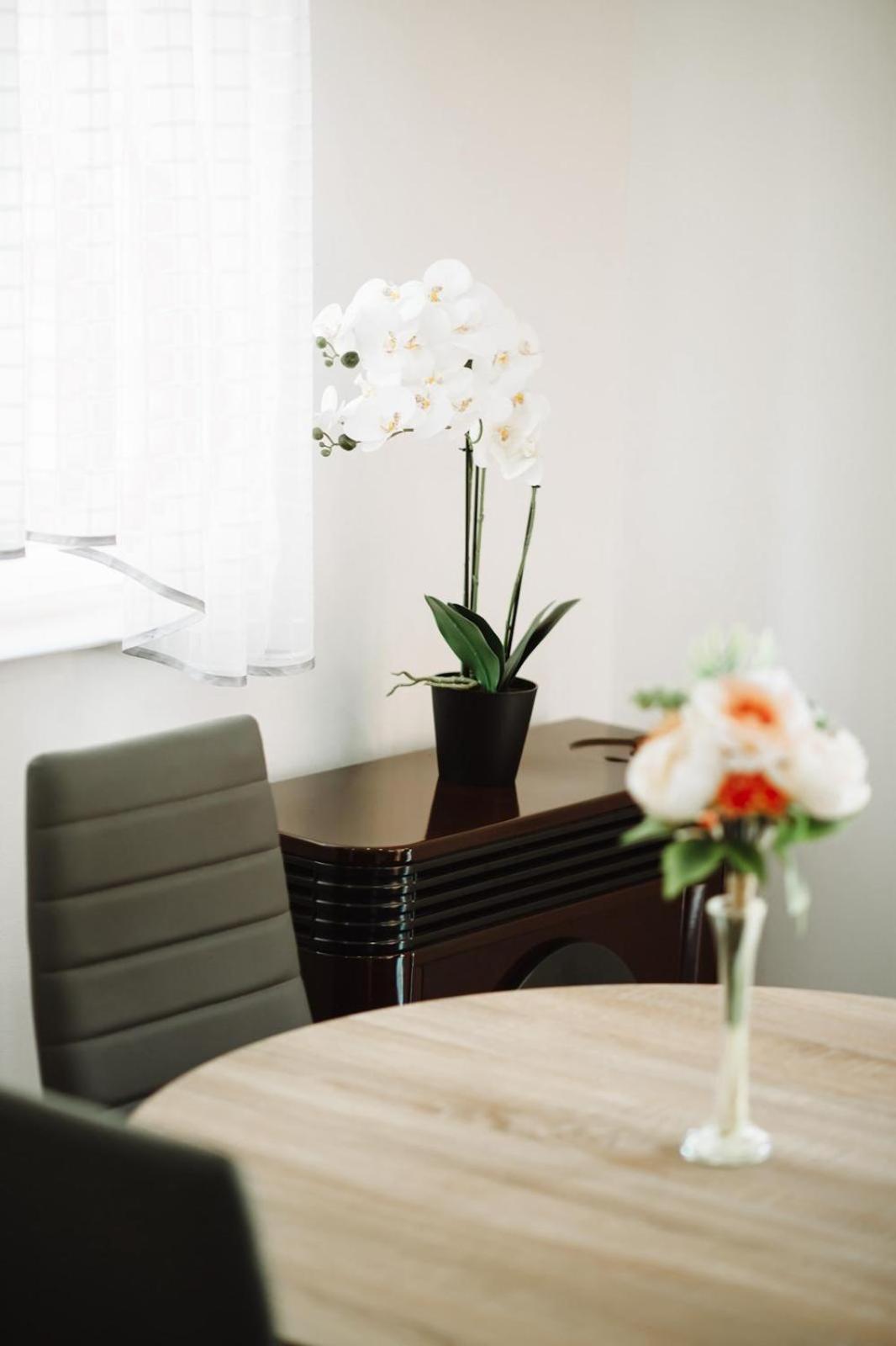 Apartman Sunny Hills كرابينا المظهر الخارجي الصورة